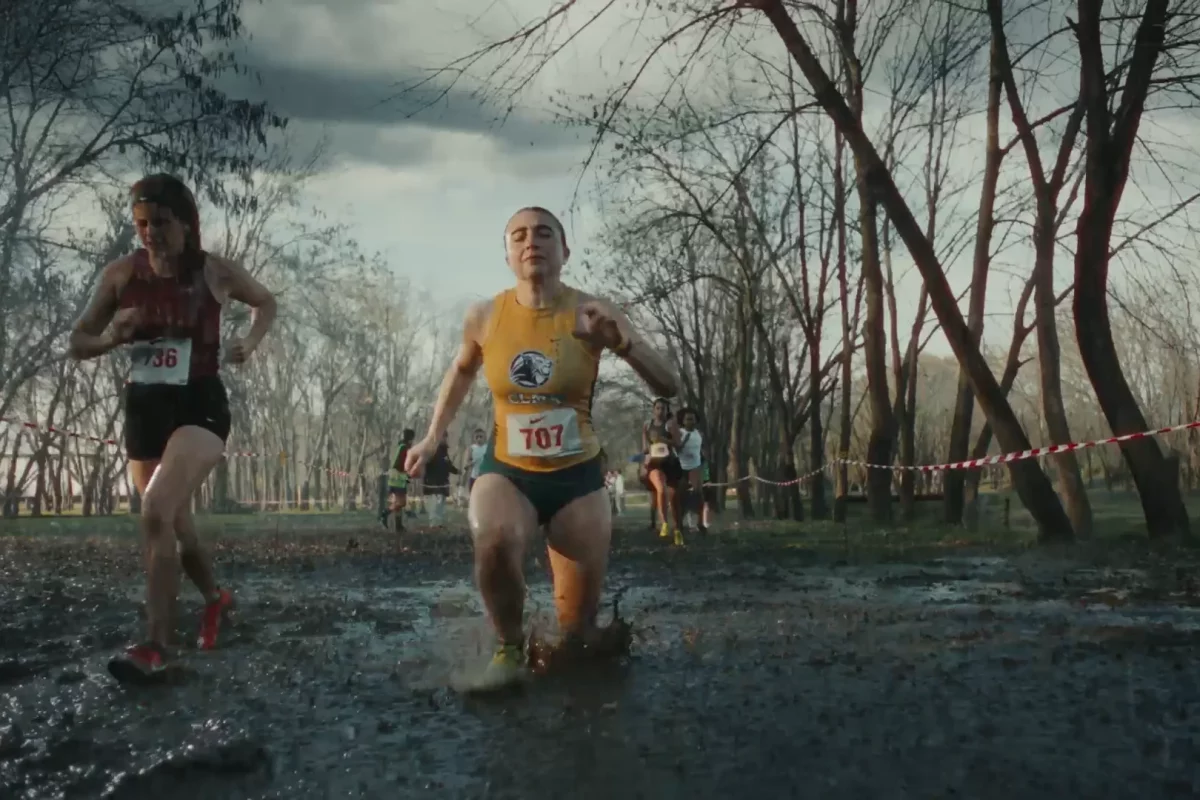 1923779396-ee3e81547e70e55315918e9a92418decbfddd46c773042ad17f1517946b54250-d